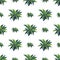 Seamless pattern with palms. Good for clothing and textiles.