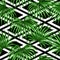Seamless pattern with palms leaves. Decorative image tropical leaf of palm tree Livistona Rotundifolia. Background made