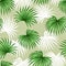 Seamless pattern with palms leaves. Decorative image tropical leaf of palm tree Livistona Rotundifolia. Background made