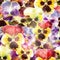 Seamless pattern pansy flowers. Vector, EPS10