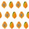 Seamless pattern with papaya, papaw silhouettes. Fruit tropic background, grunge decorative texture.