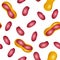 Seamless pattern with peanut, groundnut on a white background.