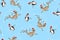 Seamless pattern with penguin and seal on blue background.