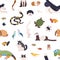 Seamless pattern with pets on white background. Backdrop with cute cartoon domestic animals - mammals, birds, fish