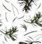 Seamless pattern with pine branches