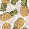 Seamless pattern with pineapples. Graphic stylized drawing.