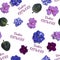 Seamless pattern with pink and blue violet flowers. Viola heads isolated on white. Lettering Violets flowers
