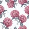 Seamless pattern with pink hydrangea flowers on white background. Watercolour floral background design for cosmetics, perfume