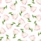 Seamless pattern with pink lisianthus flowers on white. Vector illustration.