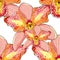 Seamless pattern Pink Orchid Cymbidium tropical flower vector il