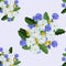 Seamless pattern with pink pions, white camomiles, cornflowers.