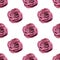 Seamless pattern of pink rose flower on white background isolated close up, burgundy roses repeating ornament, red flowers print