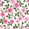 Seamless pattern with pink roses. Vector illustrat