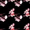 Seamless pattern with pink watercolor almond flowers. Black background.