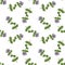 seamless pattern with plant of marjoram