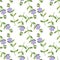 Seamless pattern with plant of periwinkle