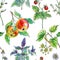Seamless pattern from plants, fruits and berries, drawing by liner and watercolor on a white background.