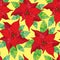 Seamless pattern with Poinsettia flower or Christmas Star in red with green leaves. Traditional Christmas symbol.