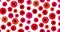 Seamless pattern with poppies on white background