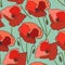 Seamless pattern poppy flower