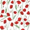 Seamless pattern of poppy stems, leaves and flowers isolated on white background