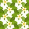 Seamless pattern, print, drawn white flowers and various green leaves. Textiles, wrapping paper, cover, kitchen decor
