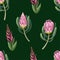 Seamless pattern with proteas flowers. Trendy floral vector print.