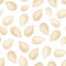 Seamless pattern with pumpkin seeds. Vector illustration.