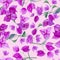 Seamless pattern of purple bougainvillea with leaves on light pink background. Hand drawn watercolor