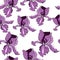 Seamless pattern with purple iris flowers. Vector illustration Creative realistic doodle tattoo