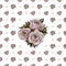 Seamless pattern with of ranunculus flowers, large and small, with circles