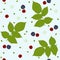 Seamless pattern with raspberries, blackberries and green leaves on a white field.