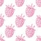 Seamless Pattern of Raspberries, Fruit Pattern.