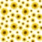Seamless pattern with real yellow sunflower flowers in high resolution. Photo pattern with a sunflower on a white background for
