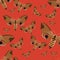 Seamless pattern. Realistic butterfly hawk on a red background. Insects in vector.