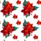 Seamless pattern with red flowers Christmas poinsettias on a white background