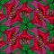 seamless pattern of red large exotic flowers with a black outline on a purple background