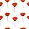 Seamless pattern red poppies on white background. Drawn girly floral painted print, vector eps 10