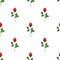 Seamless pattern with red rose sprig. On white background.