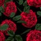 Seamless pattern with red roses peony and green leaves. Perfect for background greeting cards and invitations of the wedding