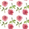 Seamless pattern of red watercolor dahlia flowers