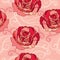 Seamless pattern with rose flower in red and dotted curls on the pink background