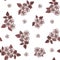 Seamless pattern of rosehip flowers isolated on a white background.  Retro floral pattern of brown flowers