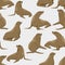 Seamless pattern. Seals in different poses on a monophonic background. Pinnipeds.