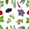 Seamless pattern with a set of culinary spices and herbs