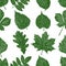 Seamless pattern of set silhouettes  leaves of various deciduous trees