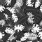 Seamless pattern from a set of tropical or forest leaves in black and white sketch style on black background