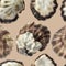 Seamless Pattern with Shells of Oysters Top View