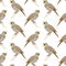 Seamless pattern of singing nightingale