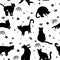 Seamless pattern with sketch cats among stars.Black kittens silhouettes.Feline in different poses.Animals sit, lay,relax.